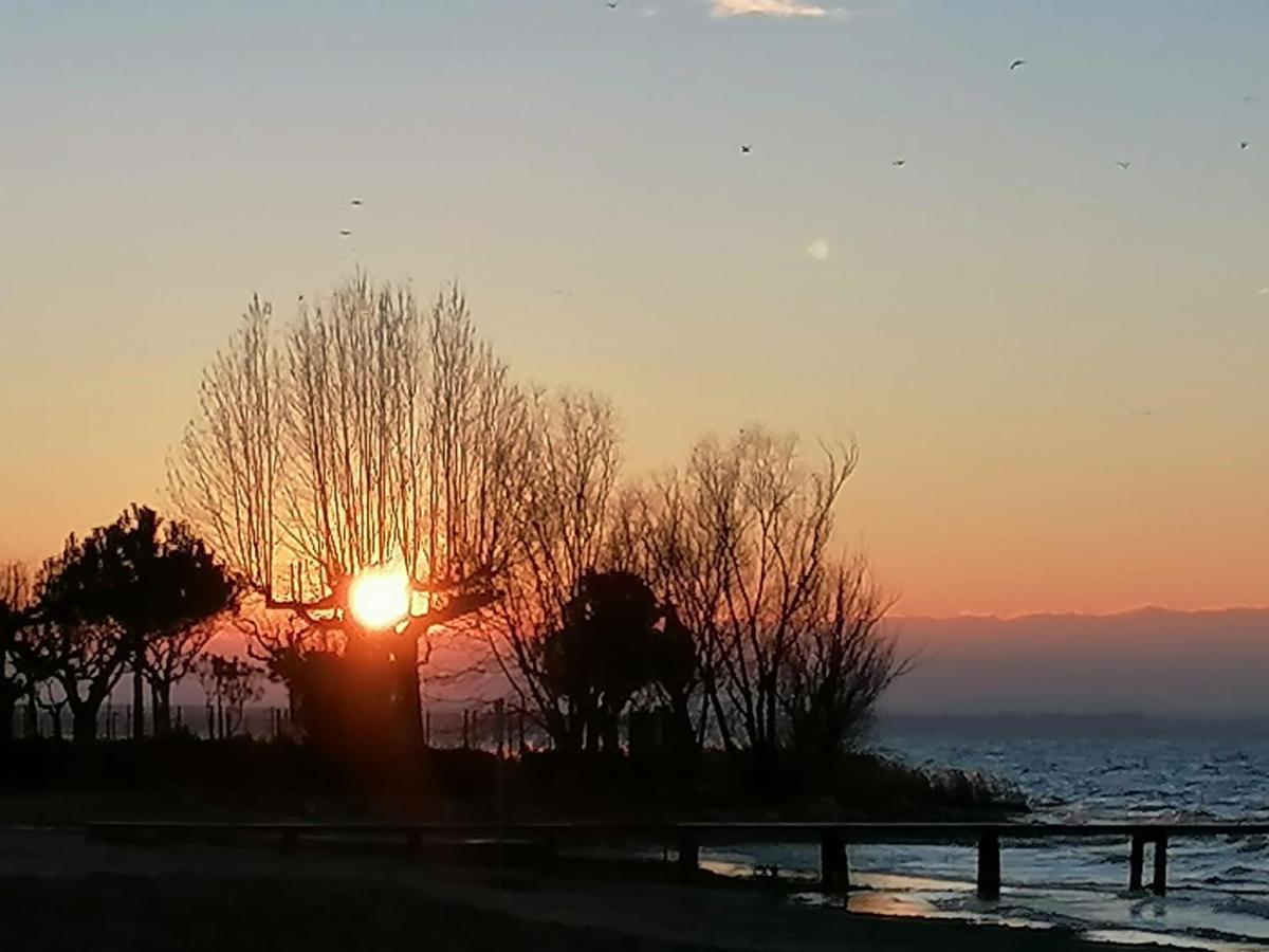 Villa La Magnolia - Private Beach Access, Garden, Views Lazise Bagian luar foto